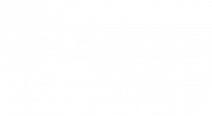British Society for Geomorphology logo - white